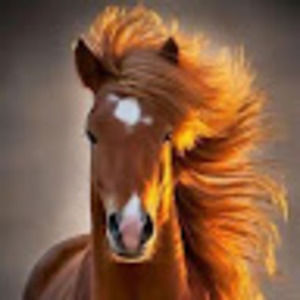 Meet your Posher, Tanya